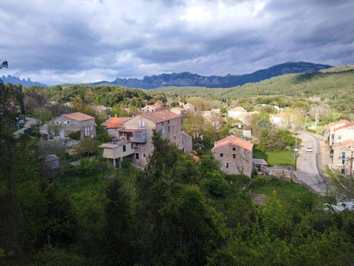 Апартаменти Casa Tanghicciola Levie Екстер'єр фото